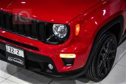 جيب رينيجيد